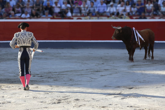 placing flags bullfighter bull