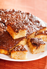 Homemade cake with chocolate glaze