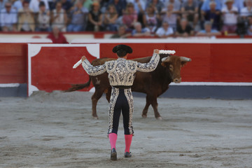 placing flags bullfighter bull