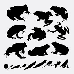 Frog and metamorphose silhouettes