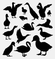 Duck, goose, and swan animal silhouettes