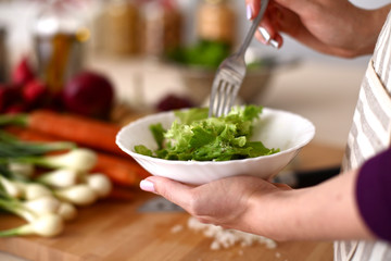 Cook's hands preparing vegetable salad - closeup shot