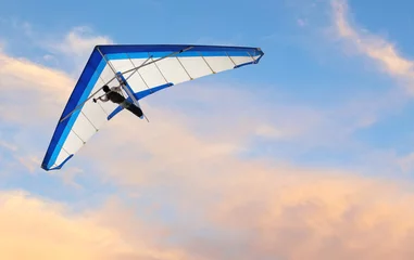 Poster Hang glider fling over the ocean at sunset © dcorneli