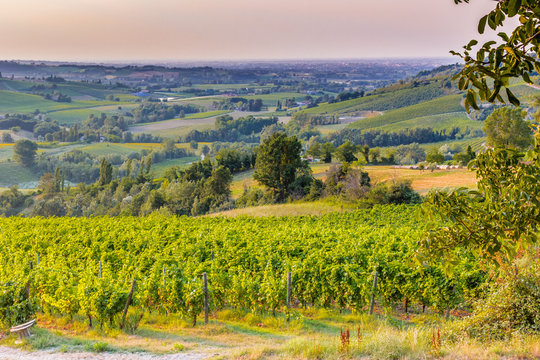 Lush farmland in hilly countryside