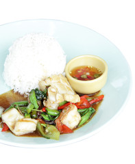 Fried squid  on white background