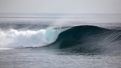 A wave breaks unridden on a shallow coral reef in the Mentawai Islands - Indonesia