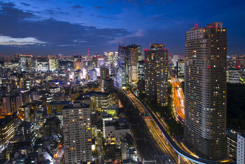 Fototapeta premium Tokyo, city aerial skyscape view of buildings and street. Japan,