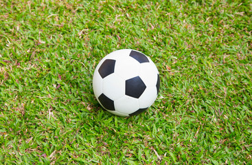 Soccer ball on green grass