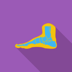 Foot anatomy icon.