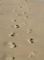 Fototapeta na wymiar footprints on a beach