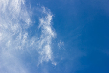 blue sky with cloud closeup