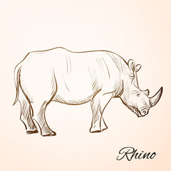 doodle rhino