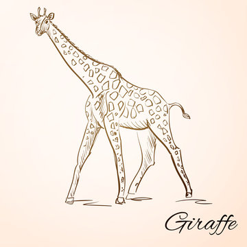 doodle giraffe