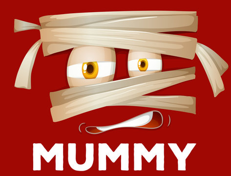 Mummy wrapped with cloth