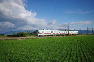 西鉄甘木線の夏