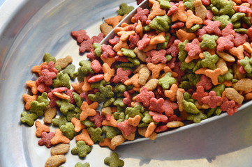 pet food on iron scoop
