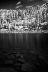 Bosco e lago alpino con l’infrarosso