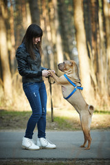 Obraz premium girl with dog in the park
