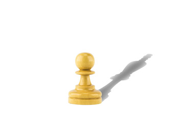 chess wood on white background