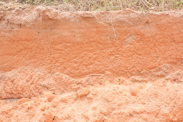 Soil structure. Background