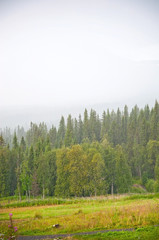 Foggy rural scenery. Scenic landscape with wood fence near Ostersund in Northern Sweden on an overcast day.