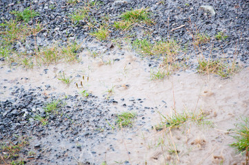 Rainy wet grounds near Ostersund in Northern Sweden on a summer day.