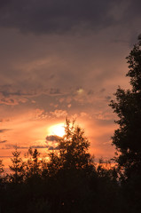 Obraz na płótnie Canvas Sunset treetops. Scenic landscape near Ostersund in Northern Sweden on an overcast day.