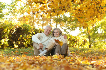 Senior couple in autumn park