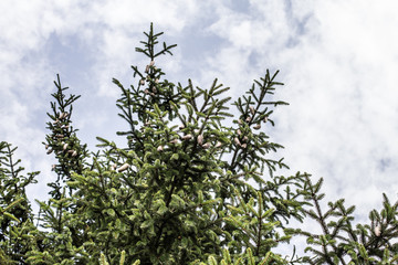 Natur braucht Freiraum