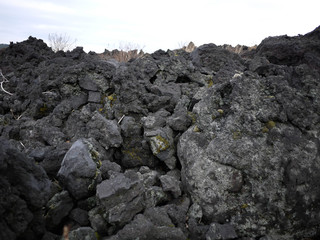 伊豆大島の火山岩