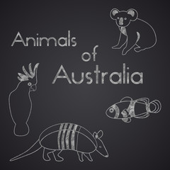 Animals of Australia on chalkboard. Part 2