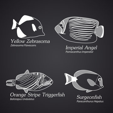 Exotic fish in linear style. Part 1
