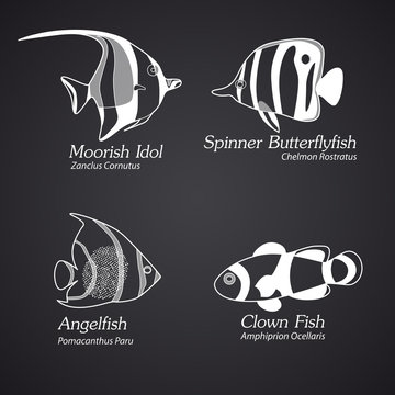 Exotic fish in linear style. Part 2