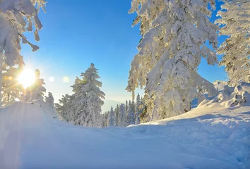 Vlies Fototapete Winter Winter scene