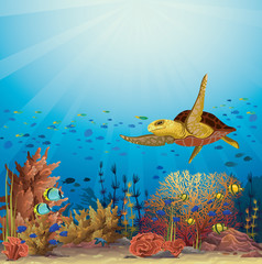 Turtle and coral reef. Underwater vector.