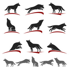 Wolf set. Vector