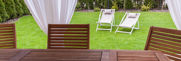 Green and sunny garden