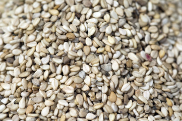 Sesamsamen; Sesam; Sesamum indicum;