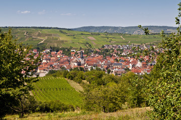 ROSHEIM 226