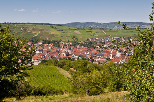 ROSHEIM 226