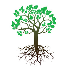 Tree and Roots. Vector Illustration.