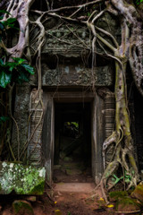 Ta Prohm