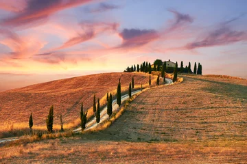 Abwaschbare Fototapete Toscane Toskana Landschaft