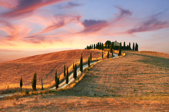 Fototapeta Tuscany Landscape