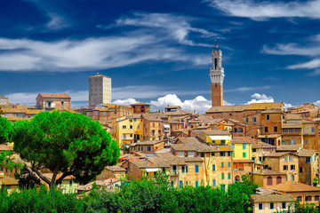 Fototapeta premium Sienna Italy