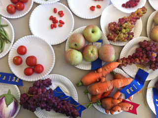 blue ribbon fruits and vegetables at a state fair