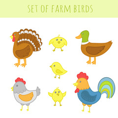 Set of vector farm birds