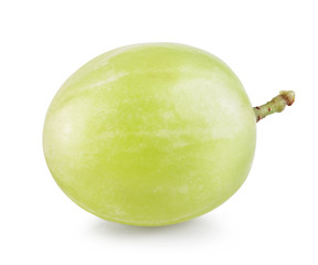 Grape isolated