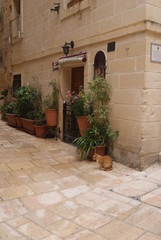 Fototapeta na wymiar Birgu