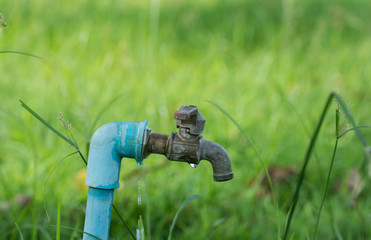 Hydrants in the park